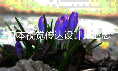 日本视觉传达设计专业怎么样?