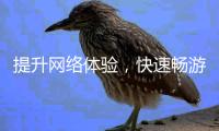 提升网络体验，快速畅游互联网——QuickQ官网加速器下载指南