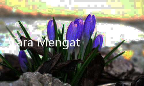 Cara Mengatasi Tembok Lembap, Berjamur, dan Mengelupas