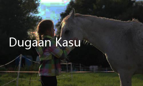 Dugaan Kasus Penipuan, Kontraktor Laporkan Bupati Kubu Raya ke Polisi