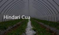 Hindari Cuaca Panas, PPIH Sarankan Jemaah Haji Indonesia Lakukan Lempar Jumrah Pada Sore dan Malam