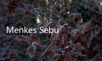 Menkes Sebut Ukuran Celana Lebih dari 33