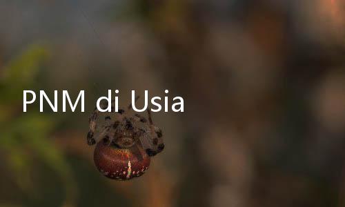 PNM di Usia ke