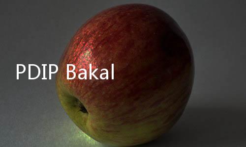 PDIP Bakal Seret Budi Arie ke Polisi Buntut Pernyataan Soal Tony Tomang di Kasus Judi Online