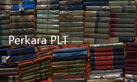 Perkara PLTU Riau