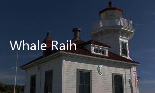 Whale Raih Pendanaan Senilai USD 60 Juta untuk Ekspansi Global