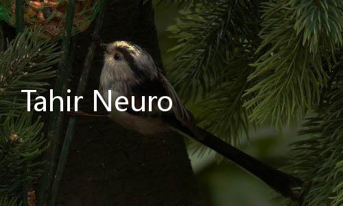 Tahir Neuroscience Center Mayapada untuk Atasi Gangguan Saraf dan Otak