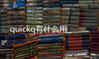 quickq有什么用